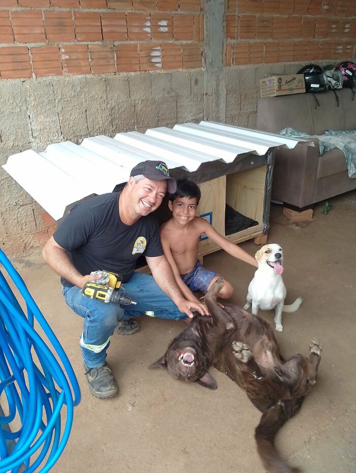 A Truck Driver From Brazil Has Built More Than 1,700 Shelters For Animals In Need