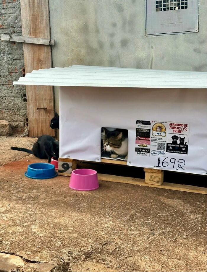 A Truck Driver From Brazil Has Built More Than 1,700 Shelters For Animals In Need