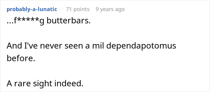 MIL Tries To Pull Rank On Bride’s Dad Using Her Lieutenant Son, Gets Shut Down By His Captain Son