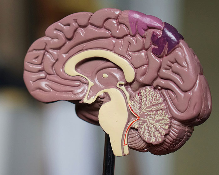 New Study Finds Married People Are Up To 74% More Likely To Develop Dementia Under One Specific Condition