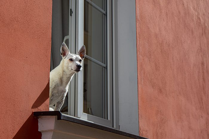 58 Stories About The Creepiest And Most Mysterious Things That Happened To People