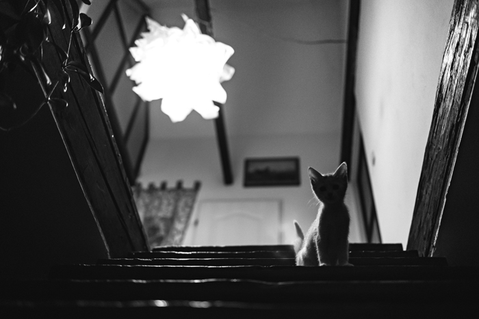 58 Stories About The Creepiest And Most Mysterious Things That Happened To People