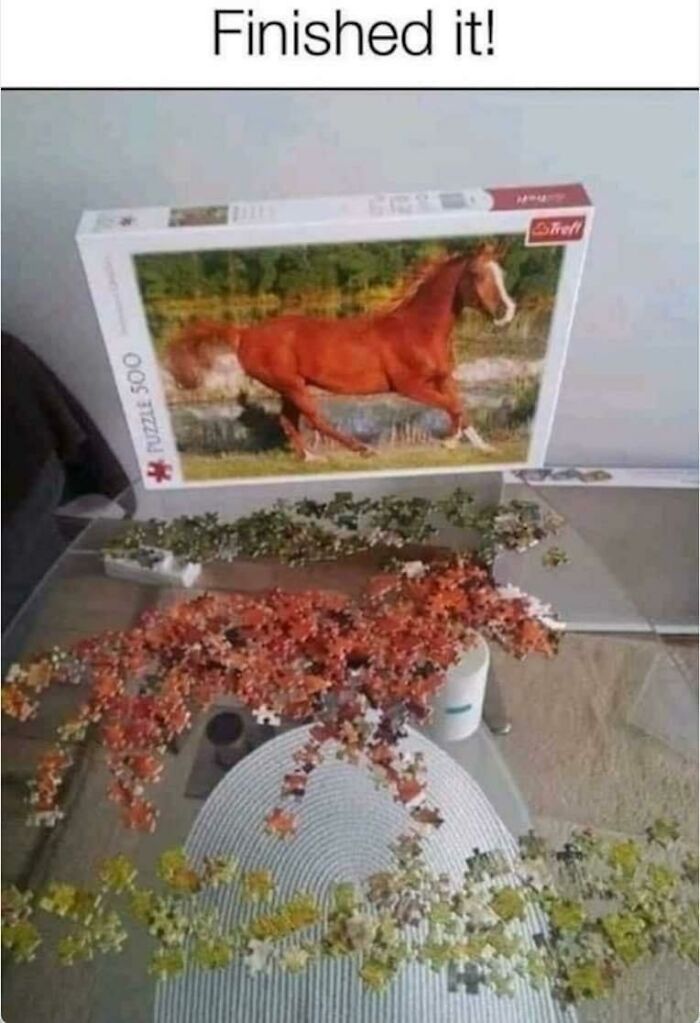 79 Mildly Amusing Things That Are Guaranteed To Improve Your Day By At Least 1% (New Pics)