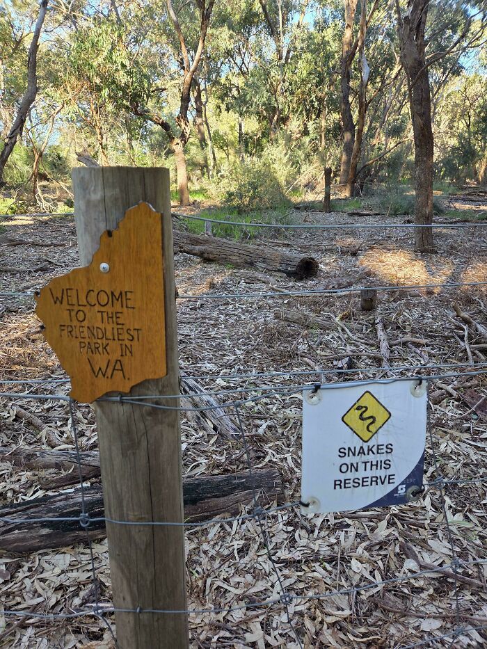 79 Mildly Amusing Things That Are Guaranteed To Improve Your Day By At Least 1% (New Pics)