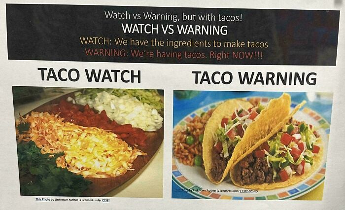 79 Mildly Amusing Things That Are Guaranteed To Improve Your Day By At Least 1% (New Pics)