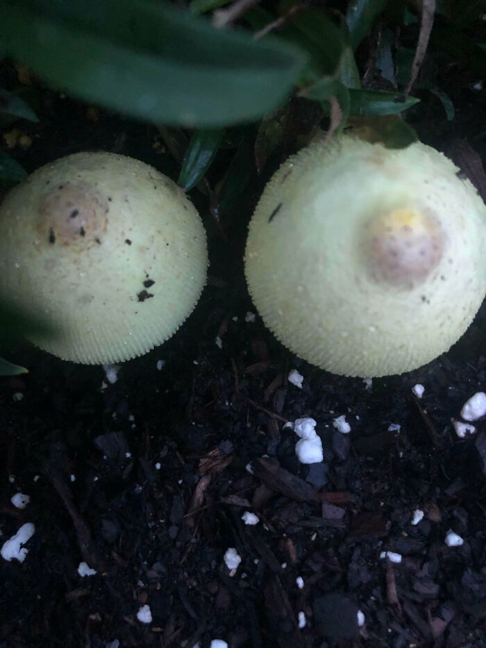 79 Mildly Amusing Things That Are Guaranteed To Improve Your Day By At Least 1% (New Pics)