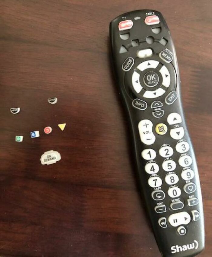 79 Mildly Amusing Things That Are Guaranteed To Improve Your Day By At Least 1% (New Pics)