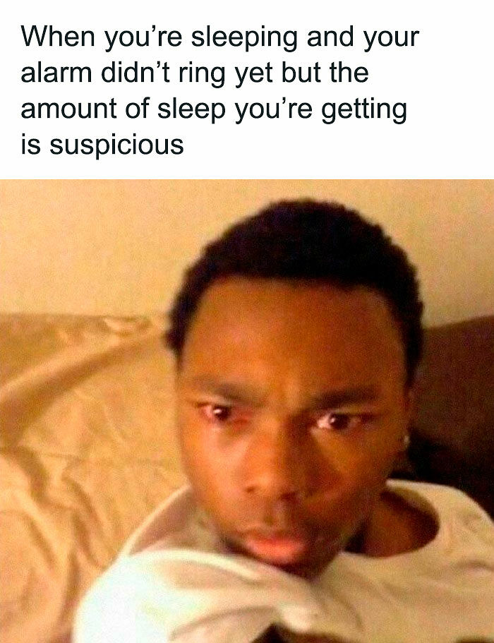 &ldquo;I&rsquo;ve Laughed Too Many Times&rdquo;: 100 Ancient Memes That Still Crack People Up
