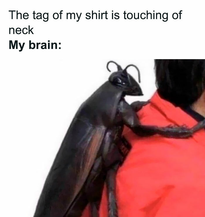 &ldquo;I&rsquo;ve Laughed Too Many Times&rdquo;: 100 Ancient Memes That Still Crack People Up