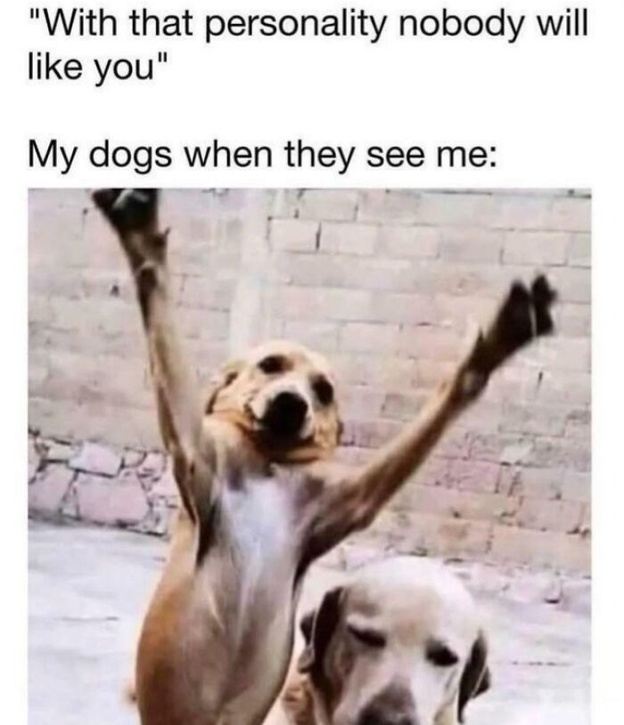 &ldquo;I&rsquo;ve Laughed Too Many Times&rdquo;: 100 Ancient Memes That Still Crack People Up