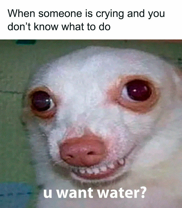 &ldquo;I&rsquo;ve Laughed Too Many Times&rdquo;: 100 Ancient Memes That Still Crack People Up