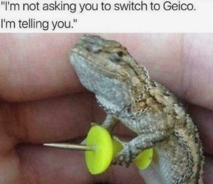 &ldquo;I&rsquo;ve Laughed Too Many Times&rdquo;: 100 Ancient Memes That Still Crack People Up