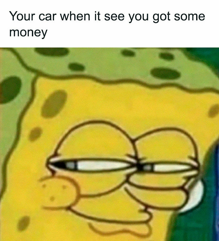 &ldquo;I&rsquo;ve Laughed Too Many Times&rdquo;: 100 Ancient Memes That Still Crack People Up