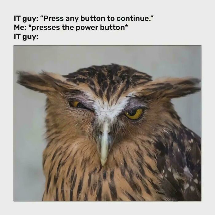 &ldquo;I&rsquo;ve Laughed Too Many Times&rdquo;: 100 Ancient Memes That Still Crack People Up