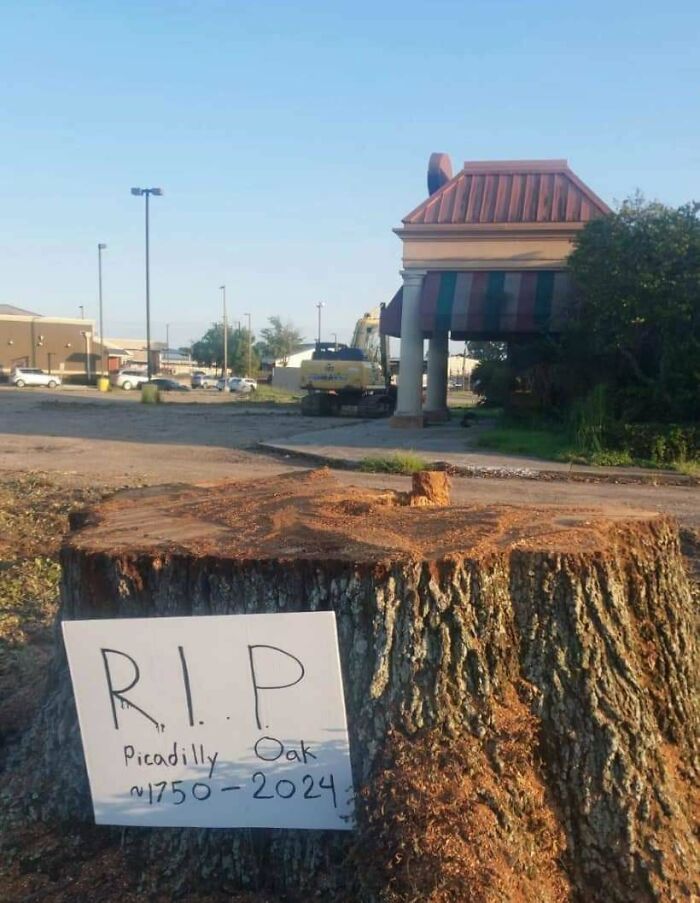 44 Photos Showing Extremely Infuriating Things That May Ruin Your Day (New Pics)
