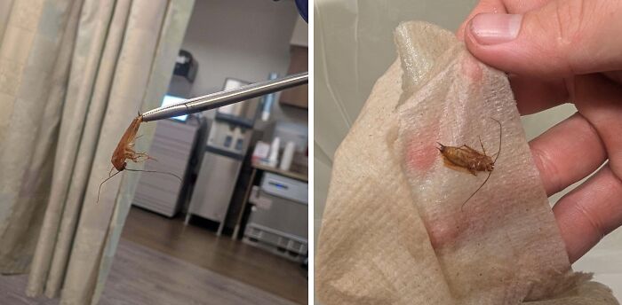 44 Photos Showing Extremely Infuriating Things That May Ruin Your Day (New Pics)