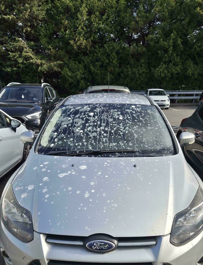 If You Think Your Day At Work Was Terrible, These 66 Photos Will Probably Change Your Mind