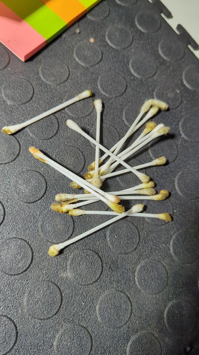 If You Think Your Day At Work Was Terrible, These 66 Photos Will Probably Change Your Mind