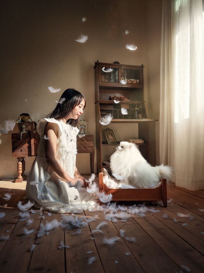 The 2026 International Pet Photography Awards Revealed Their Best Images, And Here Are 77 Of Our Favorites