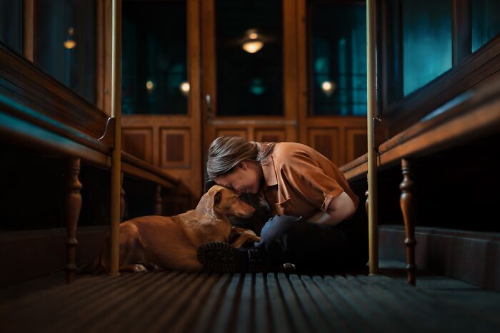The 2026 International Pet Photography Awards Revealed Their Best Images, And Here Are 77 Of Our Favorites