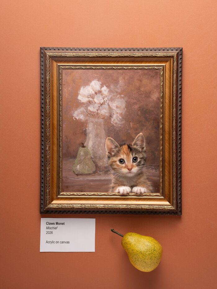 The 2026 International Pet Photography Awards Revealed Their Best Images, And Here Are 77 Of Our Favorites