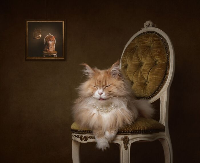 The 2026 International Pet Photography Awards Revealed Their Best Images, And Here Are 77 Of Our Favorites