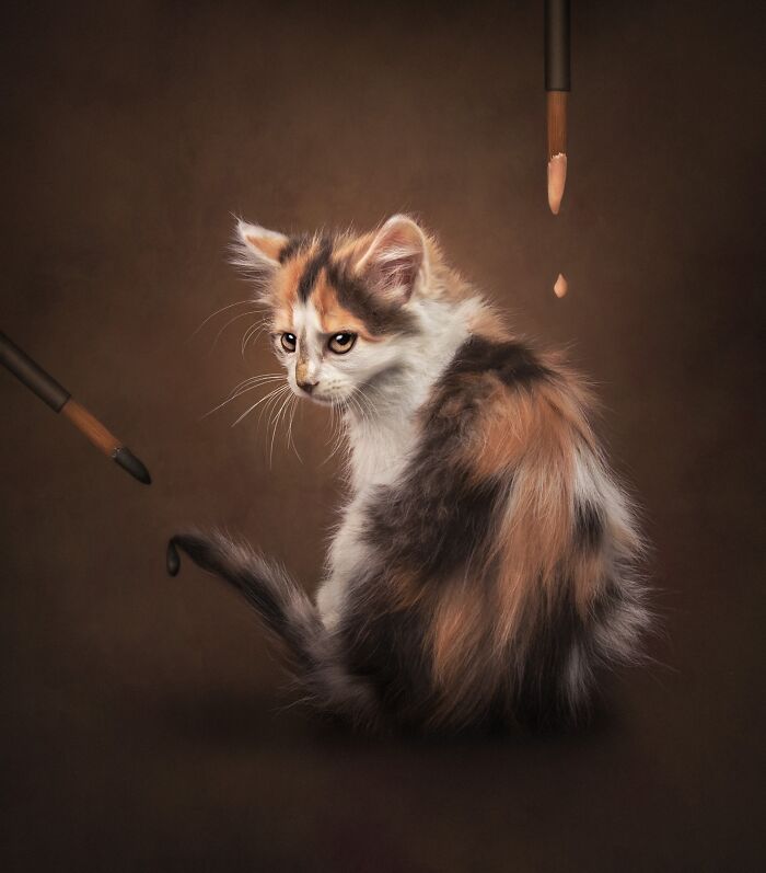 The 2026 International Pet Photography Awards Revealed Their Best Images, And Here Are 77 Of Our Favorites