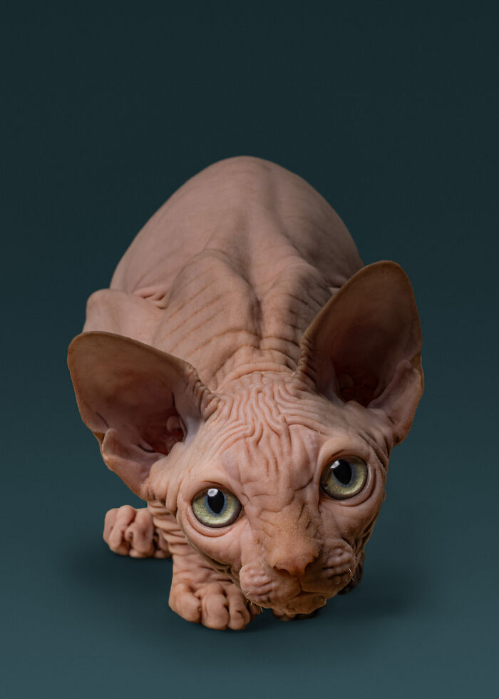 The 2026 International Pet Photography Awards Revealed Their Best Images, And Here Are 77 Of Our Favorites