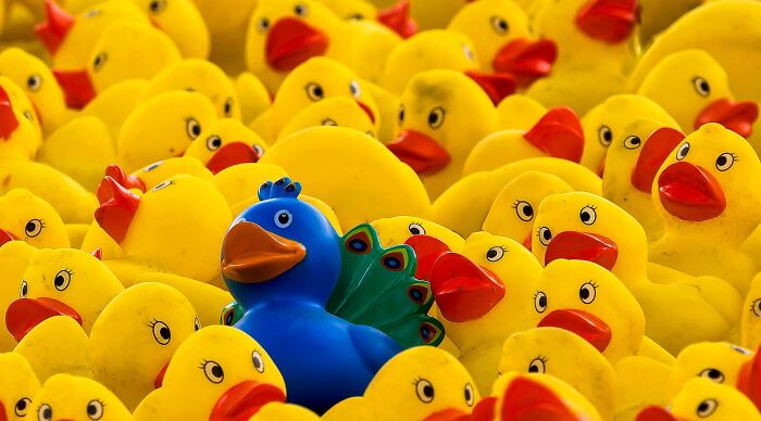 &ldquo;Can You Spot The Imposter?&rdquo;: Beat All 19 General Knowledge Challenges In This Quiz
