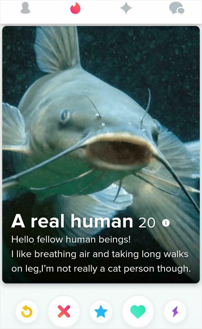 42 Cringe Tinder Profiles That Prove Writing About Yourself Is Genuinely The Hardest Thing To Do