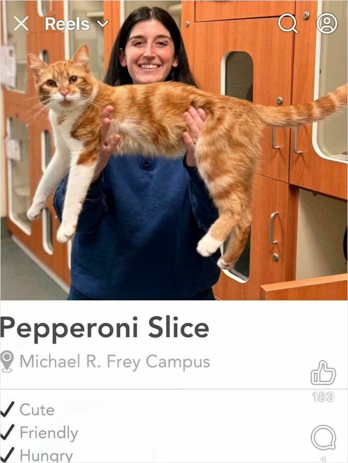 42 Cringe Tinder Profiles That Prove Writing About Yourself Is Genuinely The Hardest Thing To Do
