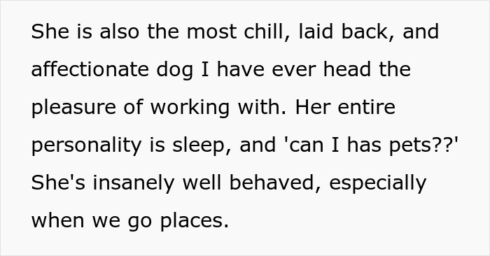 Bride Bans Anxious Sibling’s Service Dog From Wedding, Sibling Decides To Boycott The Event Instead