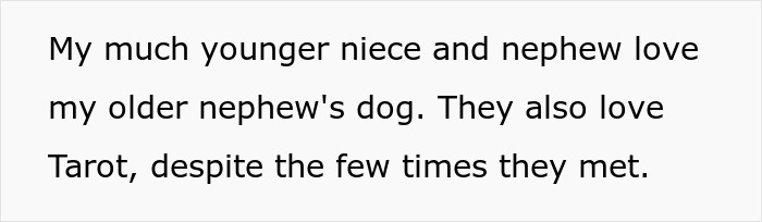 Bride Bans Anxious Sibling’s Service Dog From Wedding, Sibling Decides To Boycott The Event Instead