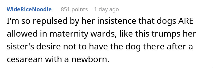 Bride Bans Anxious Sibling’s Service Dog From Wedding, Sibling Decides To Boycott The Event Instead