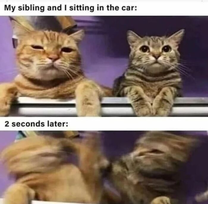 66 &ldquo;Blursed&rdquo; Memes To Make You Laugh, Then Wonder What The Heck Is Wrong With You