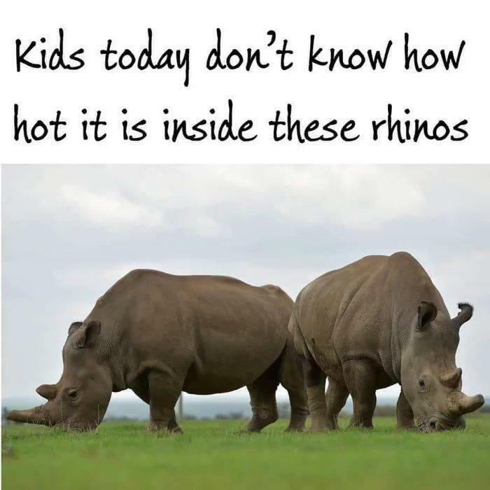 66 &ldquo;Blursed&rdquo; Memes To Make You Laugh, Then Wonder What The Heck Is Wrong With You