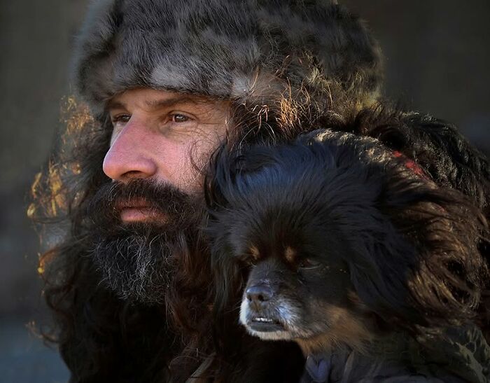 Street Photographer Captured 47 Funny Dog Moments That Happened By Pure Chance