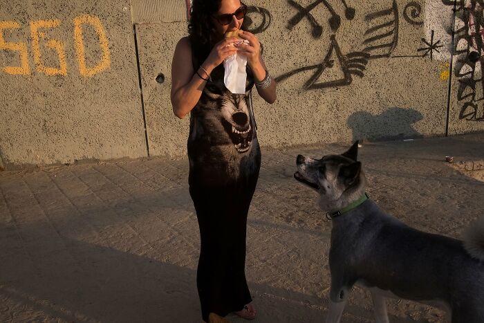 Street Photographer Captured 47 Funny Dog Moments That Happened By Pure Chance