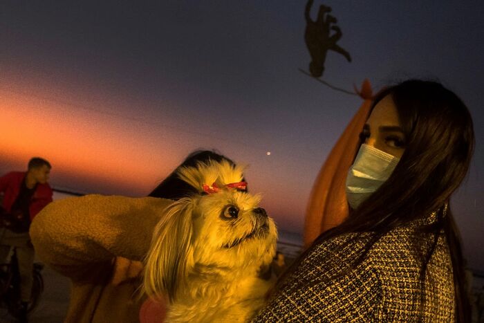 Street Photographer Captured 47 Funny Dog Moments That Happened By Pure Chance