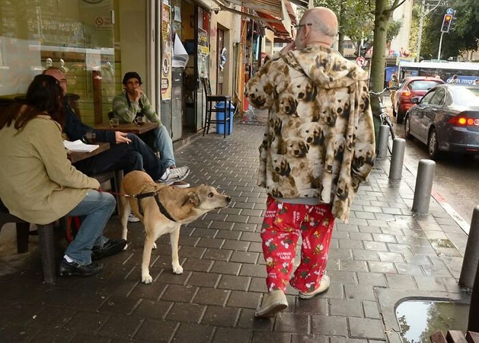 Street Photographer Captured 47 Funny Dog Moments That Happened By Pure Chance