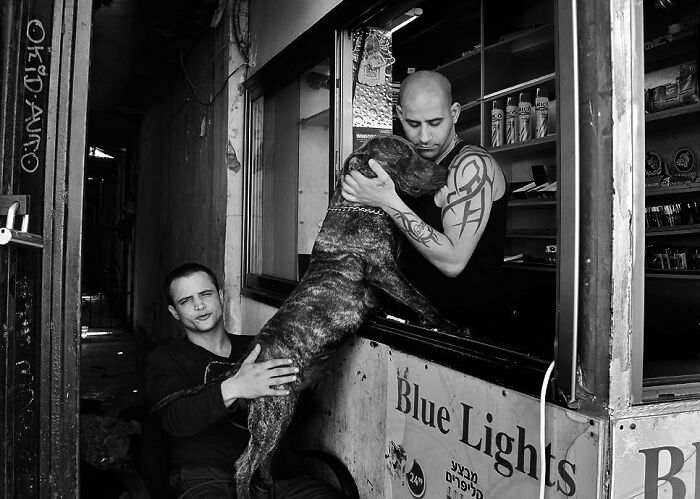 Street Photographer Captured 47 Funny Dog Moments That Happened By Pure Chance