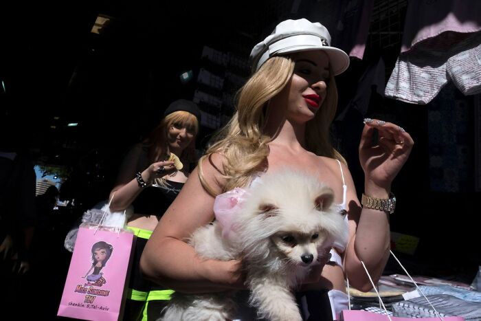 Street Photographer Captured 47 Funny Dog Moments That Happened By Pure Chance