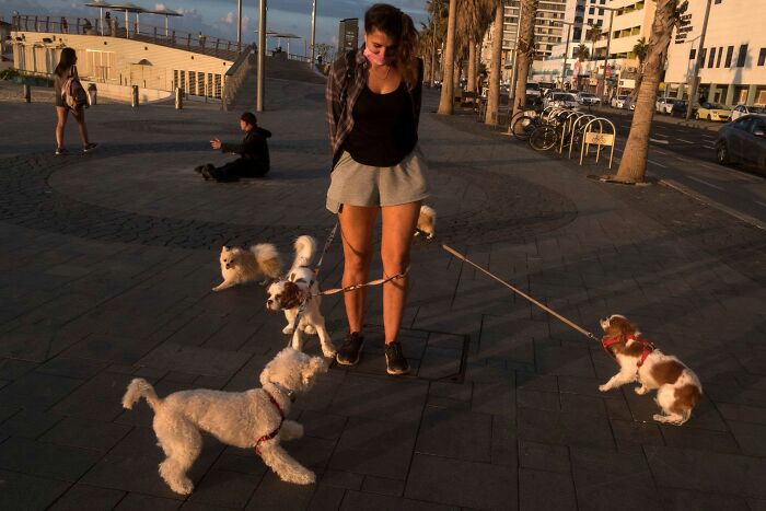 Street Photographer Captured 47 Funny Dog Moments That Happened By Pure Chance