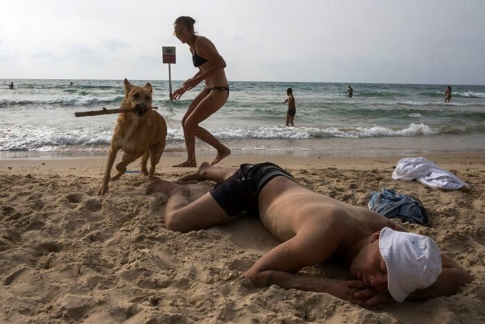 Street Photographer Captured 47 Funny Dog Moments That Happened By Pure Chance