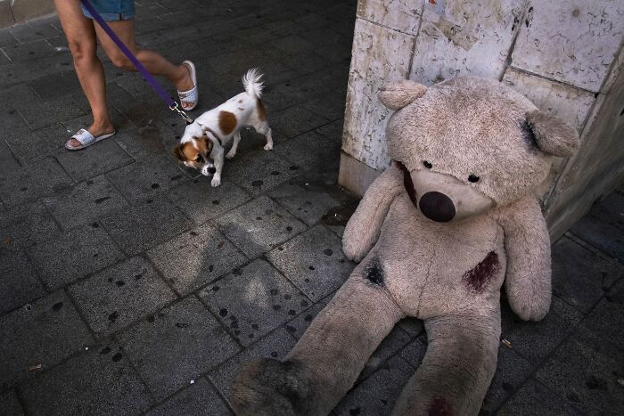 Street Photographer Captured 47 Funny Dog Moments That Happened By Pure Chance