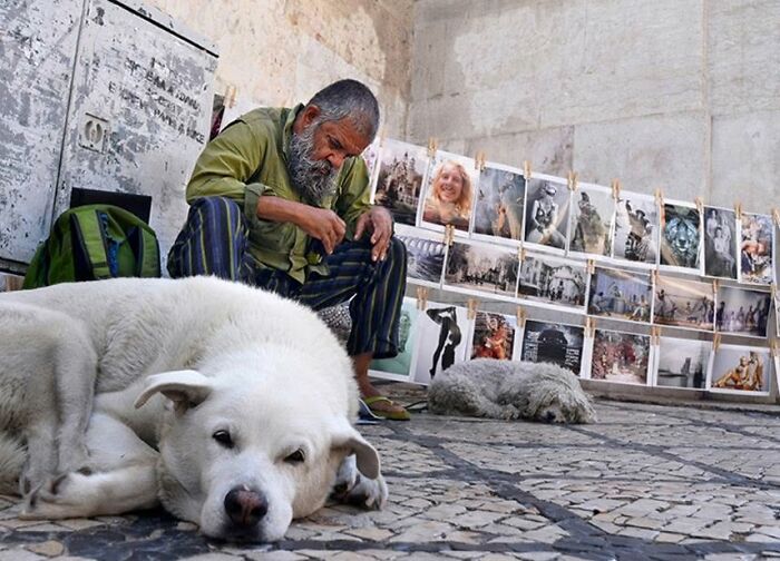Street Photographer Captured 47 Funny Dog Moments That Happened By Pure Chance