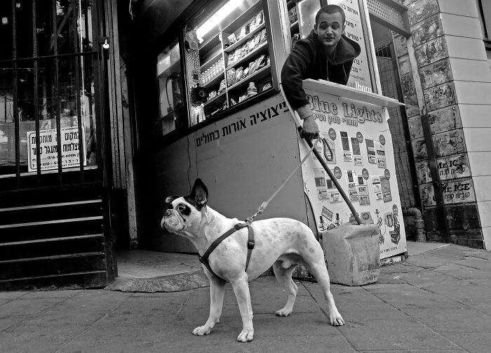 Street Photographer Captured 47 Funny Dog Moments That Happened By Pure Chance