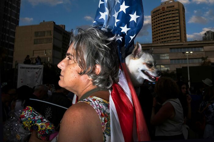 Street Photographer Captured 47 Funny Dog Moments That Happened By Pure Chance