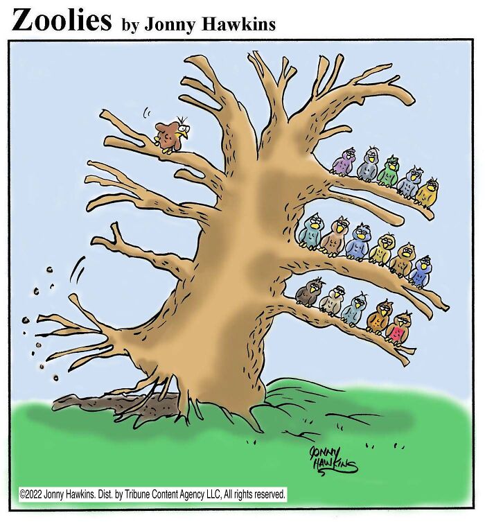 33 Silent Animal Comics By Jonny Hawkins That Don’t Need Words To Make You Laugh