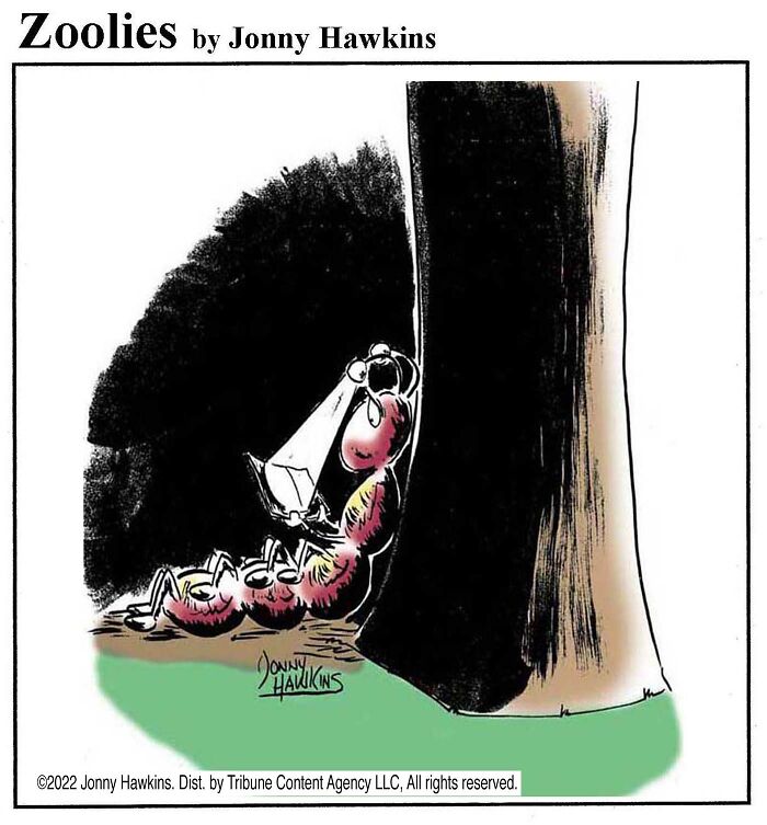33 Silent Animal Comics By Jonny Hawkins That Don’t Need Words To Make You Laugh